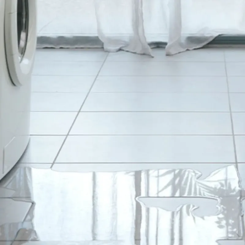 Appliance Leak Cleanup in Greene County, IA
