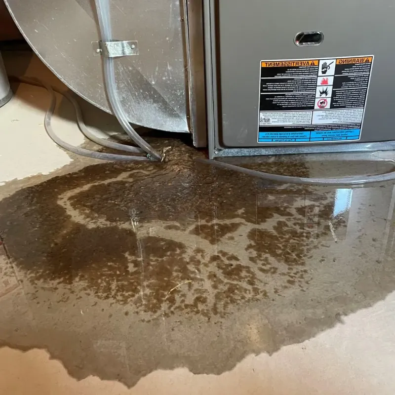 Pipe Burst and Leak Restoration in Greene County, IA