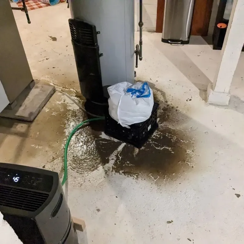 Sewage Backup Cleanup Service in Greene County, IA